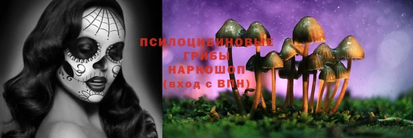 кокс Елизово