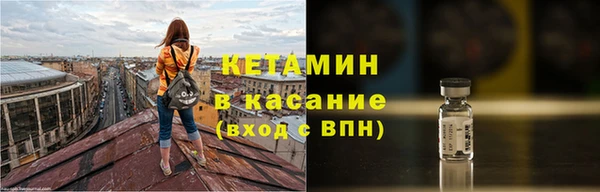 шишки Дмитриев