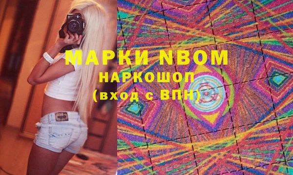 шишки Дмитриев